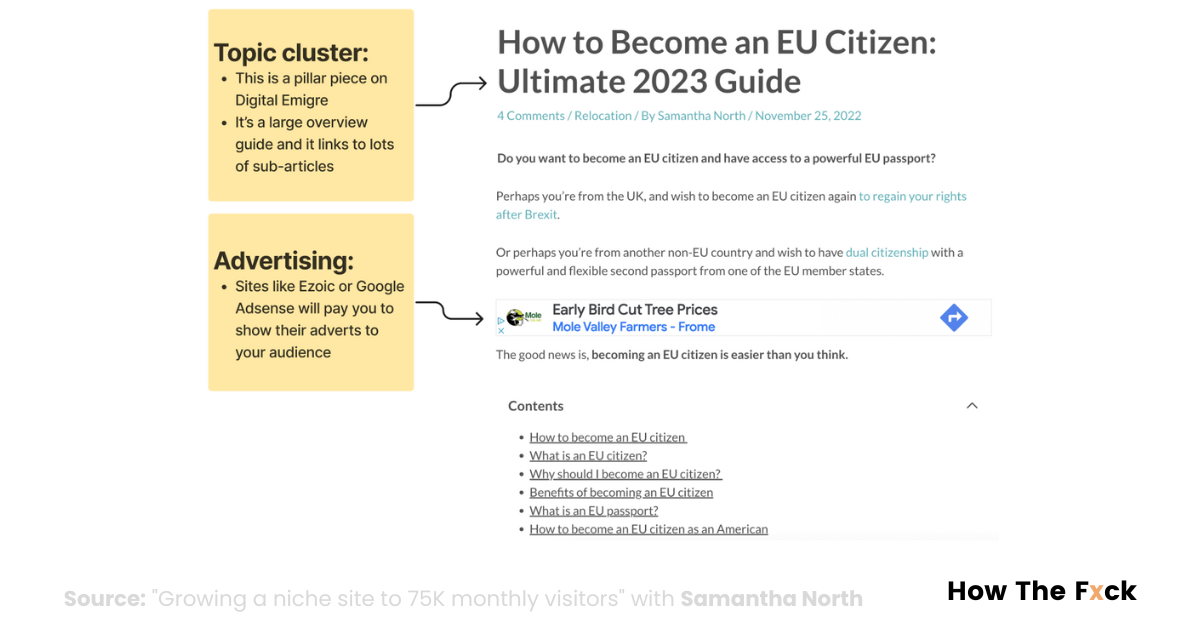 Topic cluster example from Digital Emigre niche site