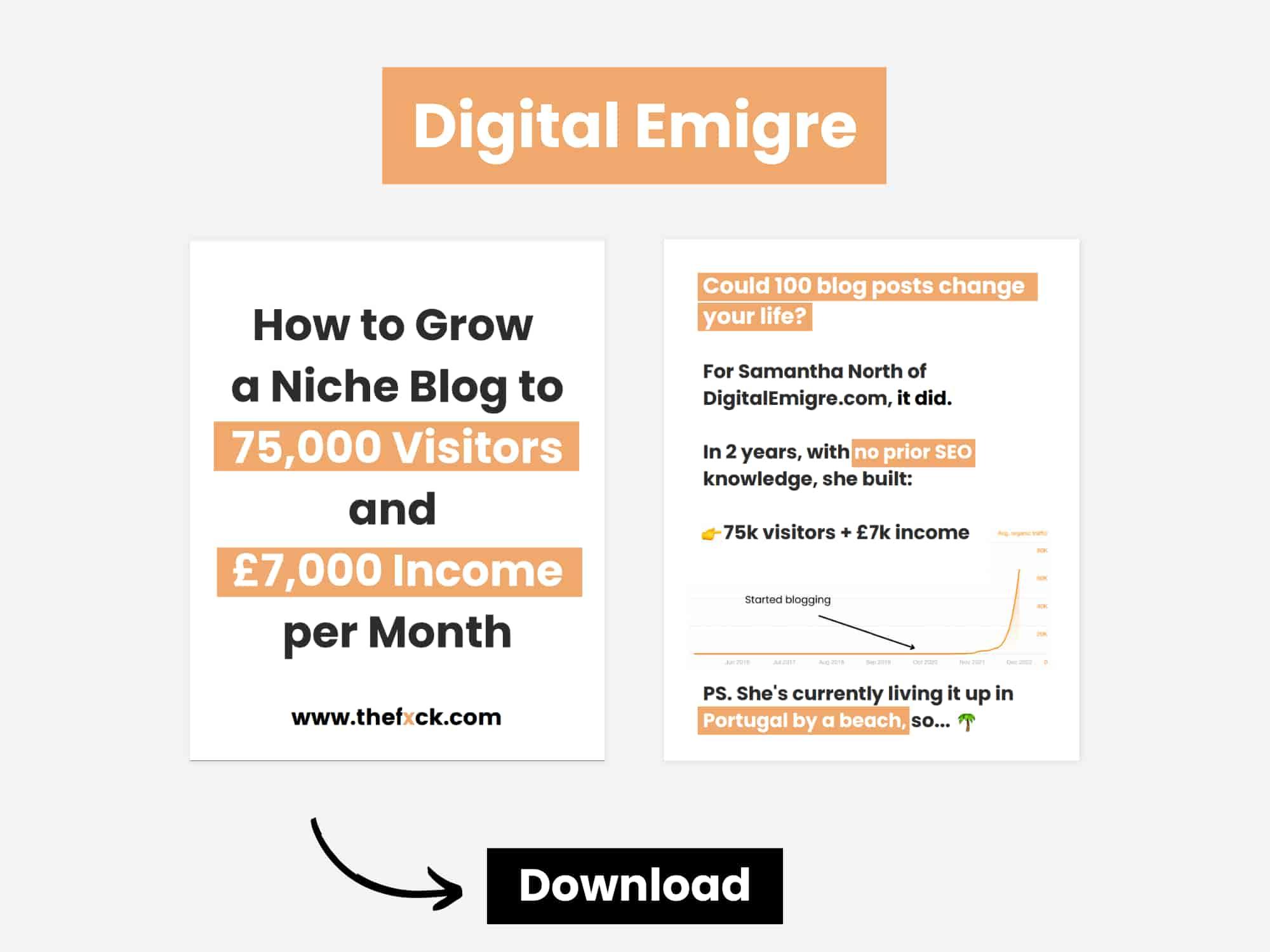 niche site case study from digital emigre