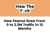 How Peanut Grew from 0 to 2.3M Monthly Traffic in 12 Months