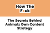 The Secrets Behind Animalz Own Content Strategy